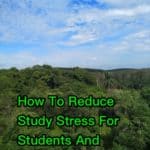 How To Reduce Study Stress For Students And Adults