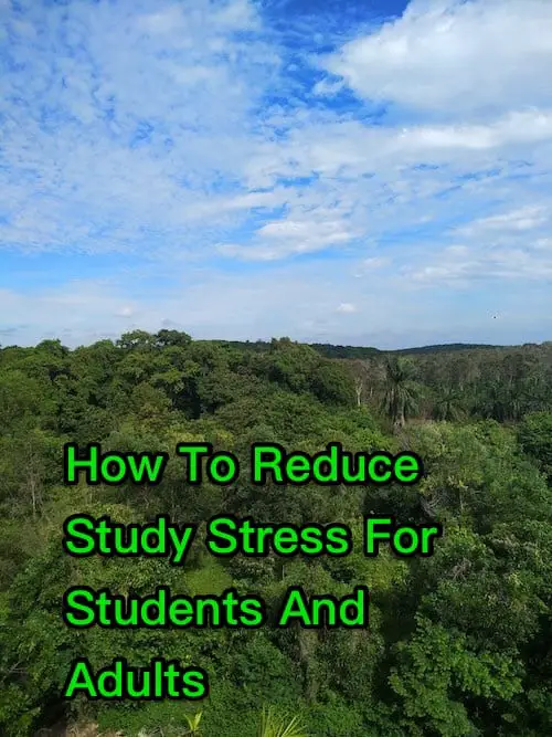 How To Reduce Study Stress For Students And Adults
