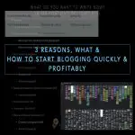 3 Reasons, What & How To Start Blogging Quickly & Profitably